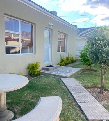 Olive Tree