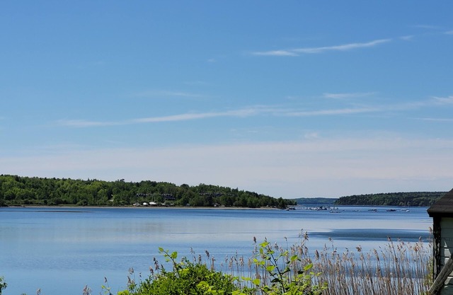 On Mill Cove. Close to Acadia, restaurants, kayaking, hiking trails.