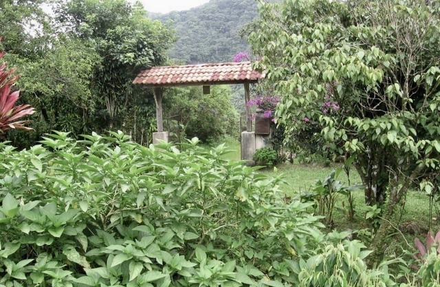 One Bedroom Cabin On Two Hundred Acres in costa rica