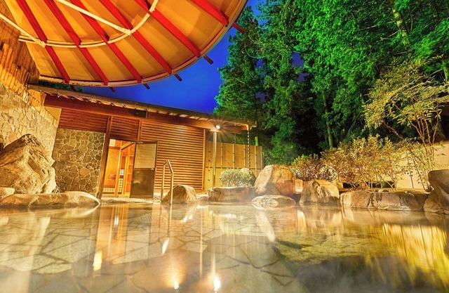 Ooedo Onsen Monogatari Gero Bekkan