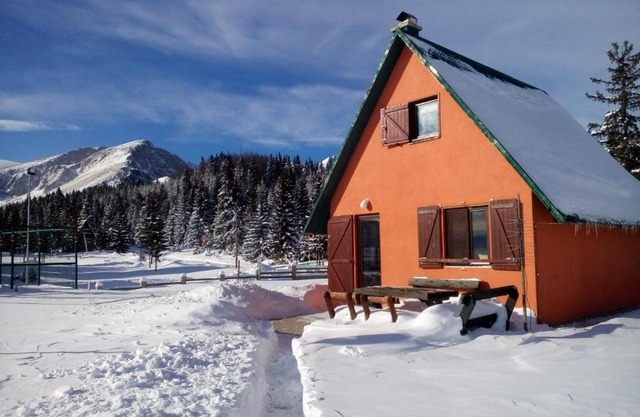 Orange House in nature