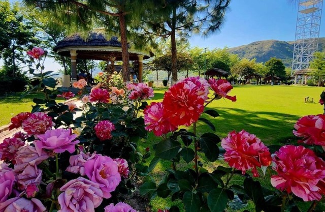Orange Lake Resort Khanpur Pakistan