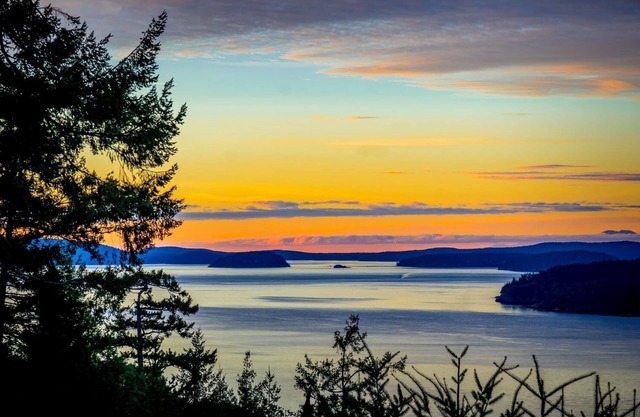 Orcas-Beautiful Modern Home- Large New Deck- Water View- Privacy- Dog Friendly