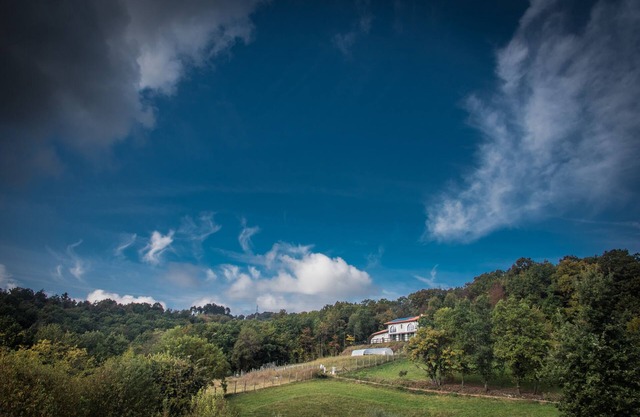 Organic farm a few kilometers from the center of Turin
