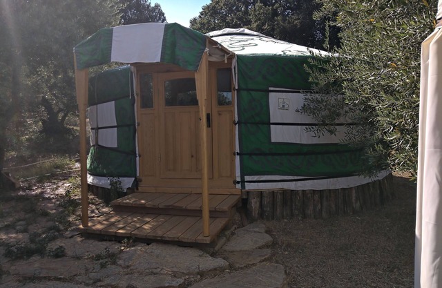 Original Mongolian yurt in the green woods
