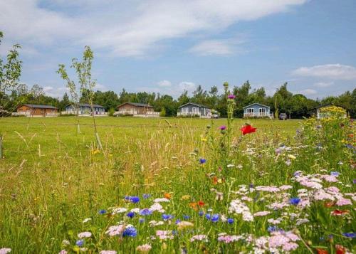 Otters Mead Boutique Lodges