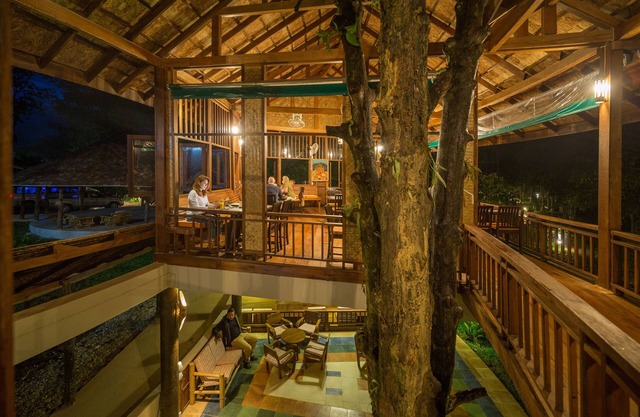 Our Jungle Camp - Eco Resort