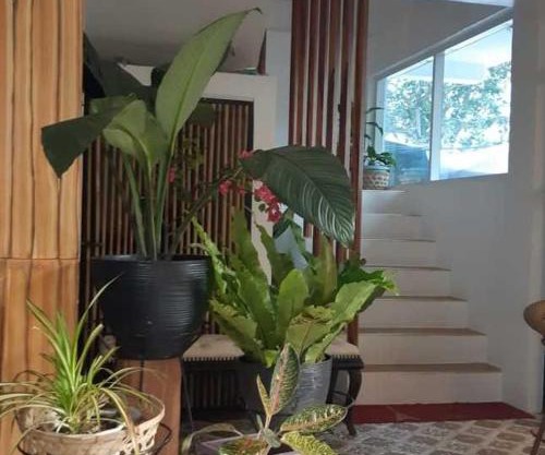 OYO 1130 Thrivers Hometel