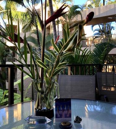 Paki Maui in Paradise - Ocean side