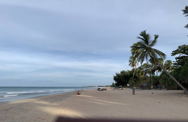 Palm view inn-Nilaveli