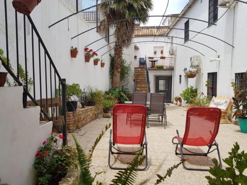 Palmera home
