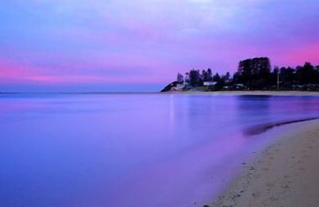 'Pandanus' - Boutique Beachside Studio