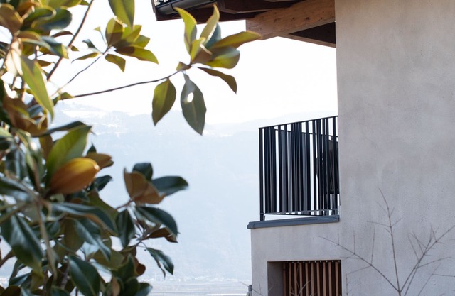 Panorama chalet with private terrace