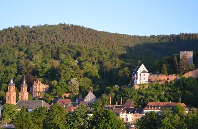 Panorama view Miltenberg, 3 pers., central, on the Main, terrace, boat rental, P