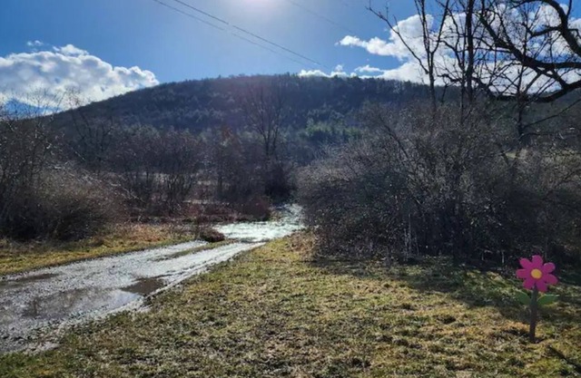 Pappa's Pasta has no Pasta