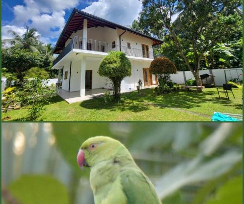Parrot Paradise Negombo