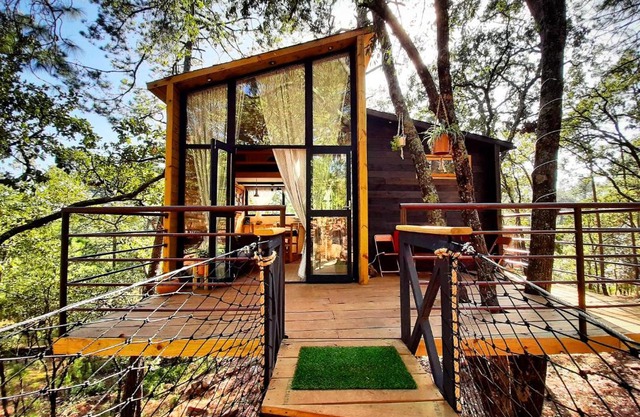 Patagonia, Pinochueco