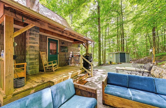 Patio & Fire Pit: Charming Cabin in Roaring Gap!