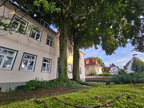Patrizierhaus Altstadt am Brauhaus Zwiebel
