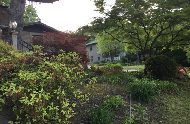 Paw Paw Tree Estate Home with Three Bedroom Guest House. Sleeps 19.