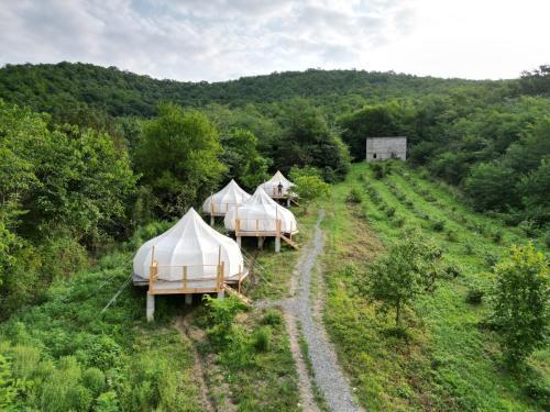Peace Camp Gremi