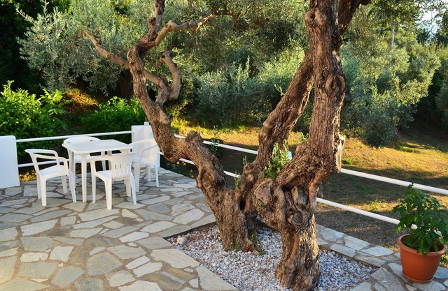 Peace, Privacy and Natural Beauty on Skopelos Island