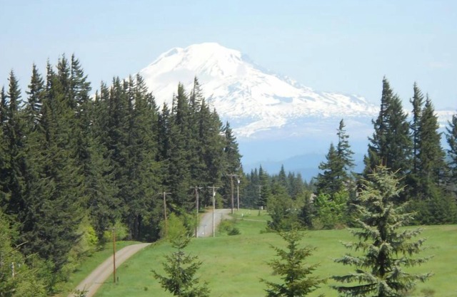 Peaceful Getaway w/Stunning Views, Deck! Hike, Mtn Bike, min to river! Sleeps 5