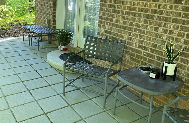 Peaceful Haven apartment nestled in the woods minutes away from historic Waxhaw.