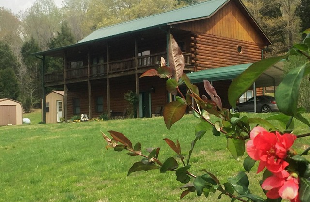 Peaceful Hills Cabin is clean, family-friendly and quiet on 97 acres with creek.
