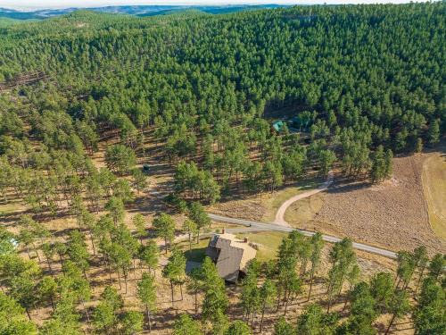 Peaceful Pines