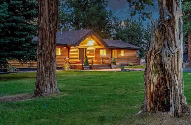 Peaceful, private, tree-lined lodge with great outdoor space & firepit