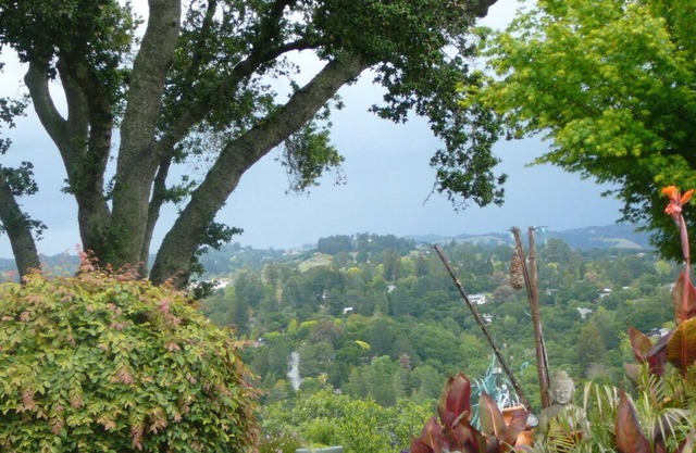 Peaceful, Quiet, Fully Furnished Studio. Mins to San Francisco, Berkeley, BART