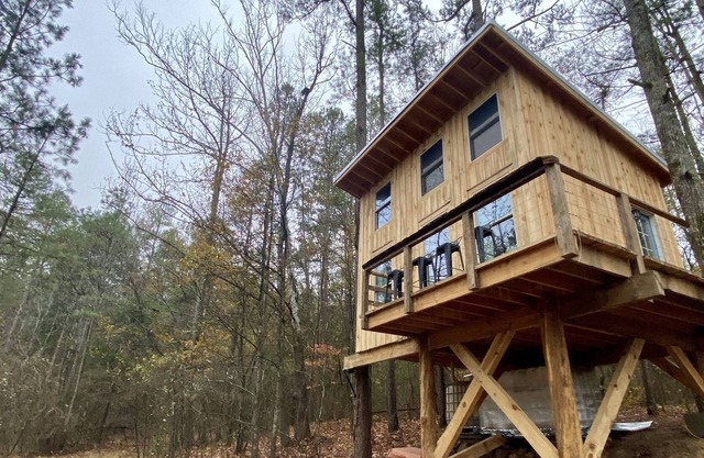 Peaceful Treehouse in the Forest