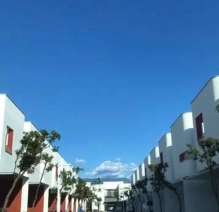 Peaceful Vienna 寧靜維也納