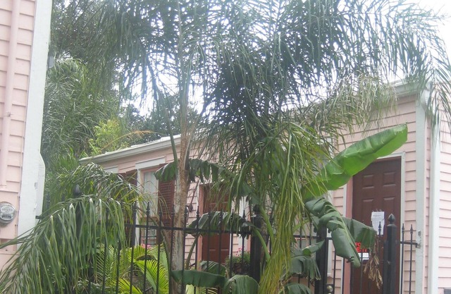 PEARL ST. GUEST COTTAGE OFF ST. CHARLES,30 NT. MIN.