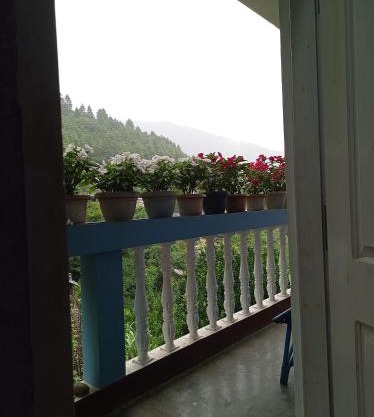 Pema HOMESTAY