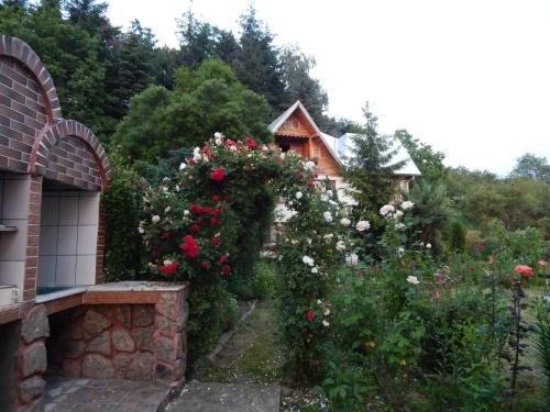 Pensiunea Paradis