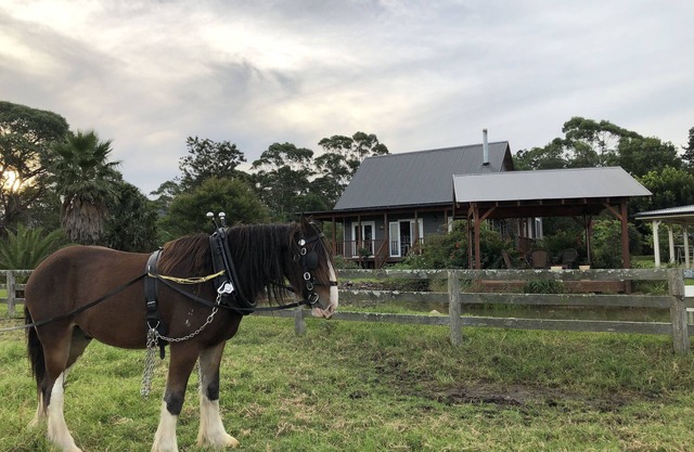 Peppergrove Cottage