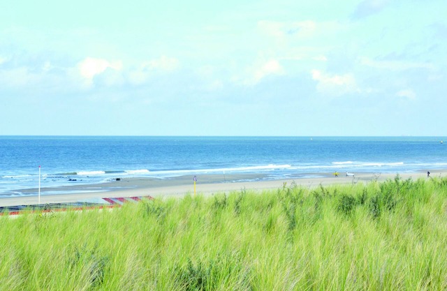 Perfect Beach & Trail Escape — E-Bikes and Free Parking