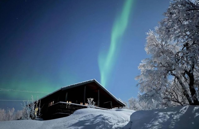 Perfect cabin for relaxing and privacy.