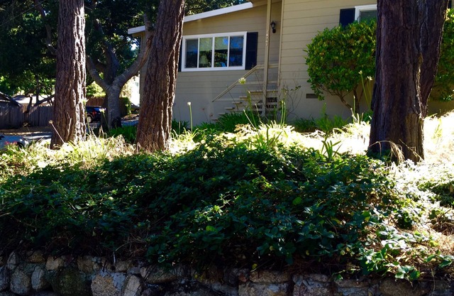 Perfect Carmel Retreat - Walk to Downtown