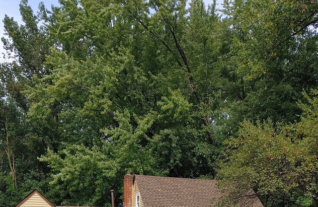 Perfect Cottage Style House- surrounded by nature, parks and trails.