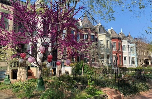 Perfect Location in Capitol Hilln