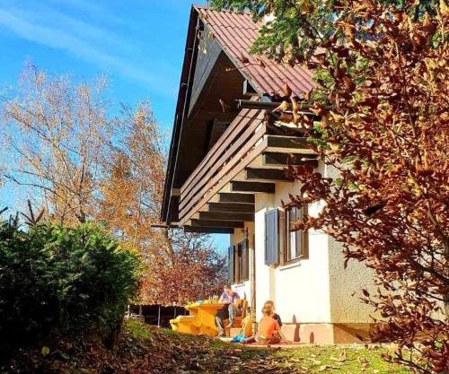 Pet & Family Friendly House Viktorija - house near Golica with Triglav view
