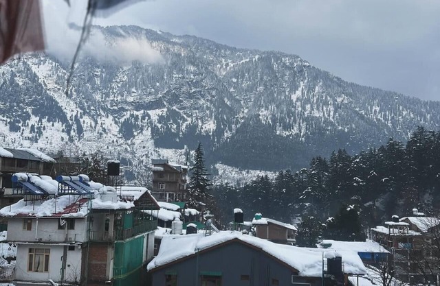 pet friendly and everything nearby in the heart of old manali