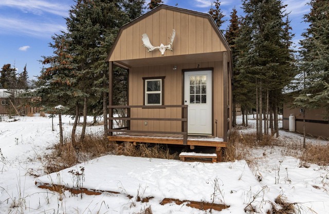 Pet Friendly Cabin in Kasilof Alaska