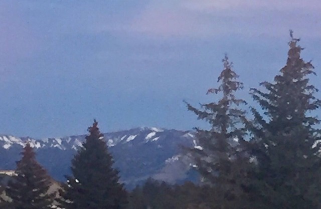 PET FRIENDLY Condo w/Mtn Views & Golf Course nearby. 1 bdrm + a Murphy Bed.