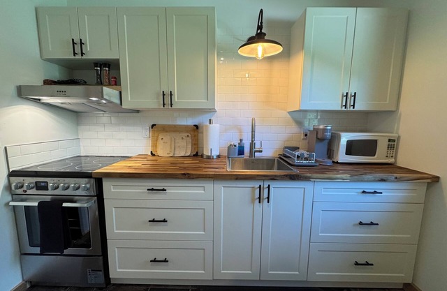 Pet-Friendly Mountain-View Kootenay Cottage for single or couples, No pet fee