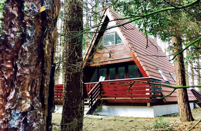 Pet-friendly Scandinavian A-Frame woodland retreat on the North Norfolk coast!