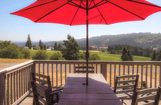 Pet Friendly Vineyard Home with Mountain Views